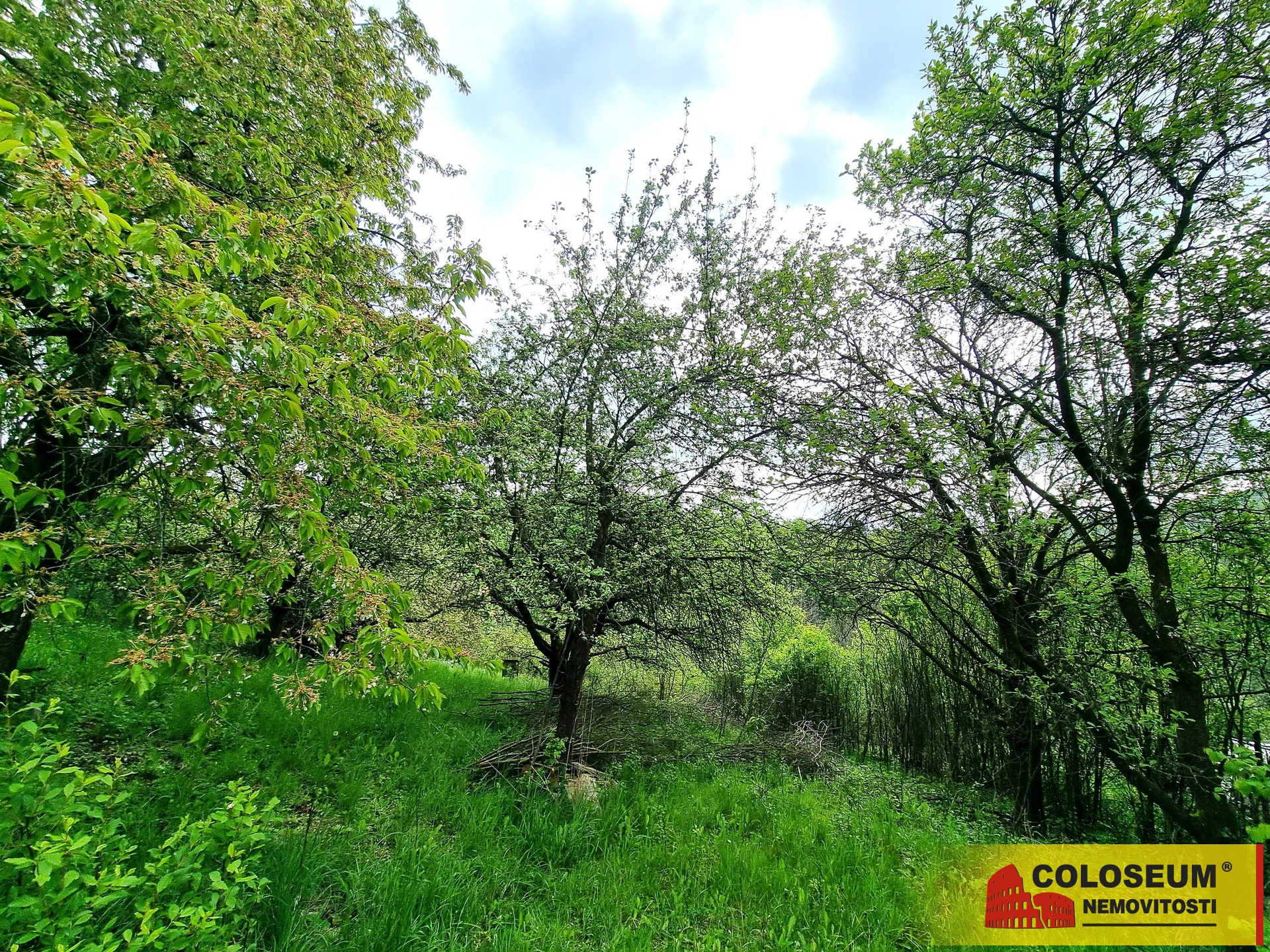 Pohled na pozemek - Blansko - Bačina - prodej zahrady 593 m2