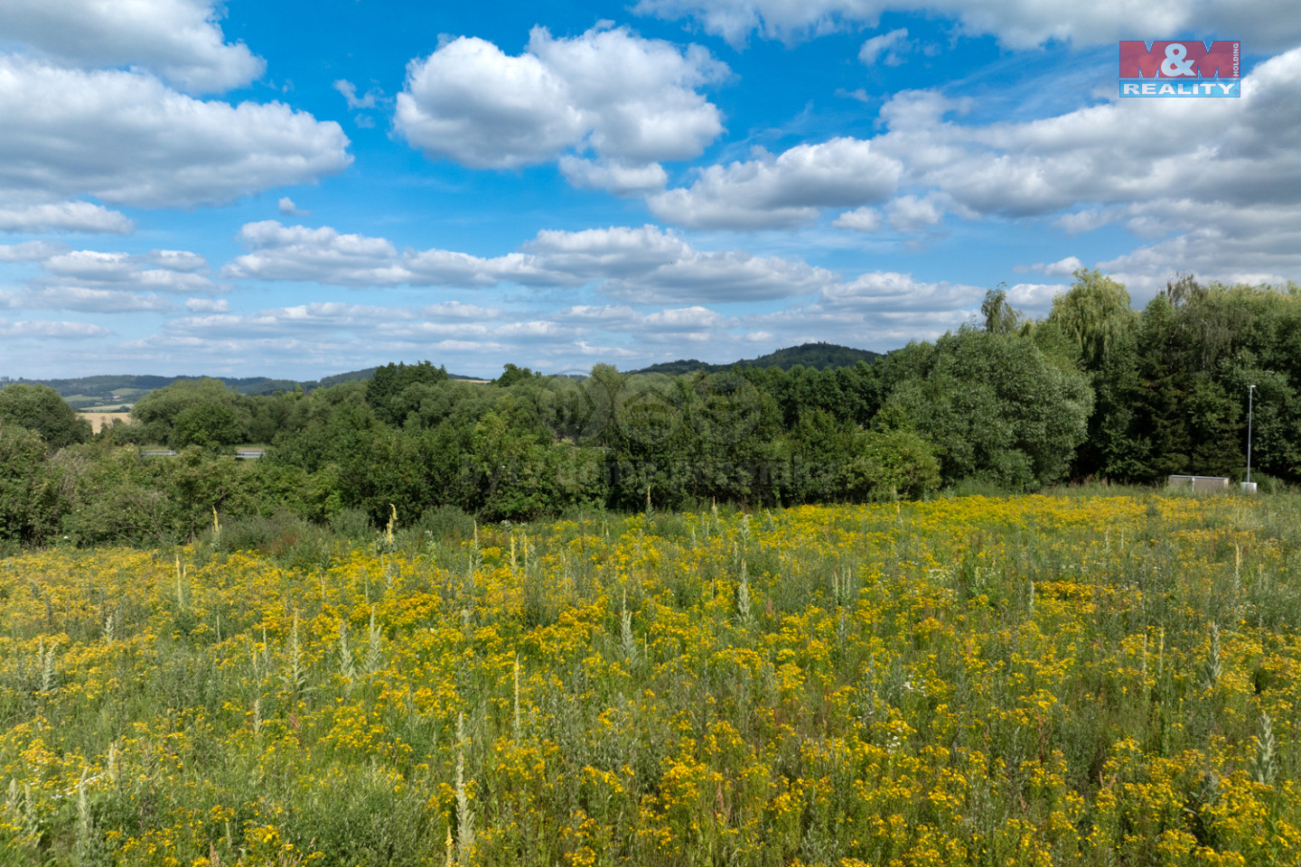 RealitnĂ­ fotografie - Olbramovice - Michal Link - 21.jpg