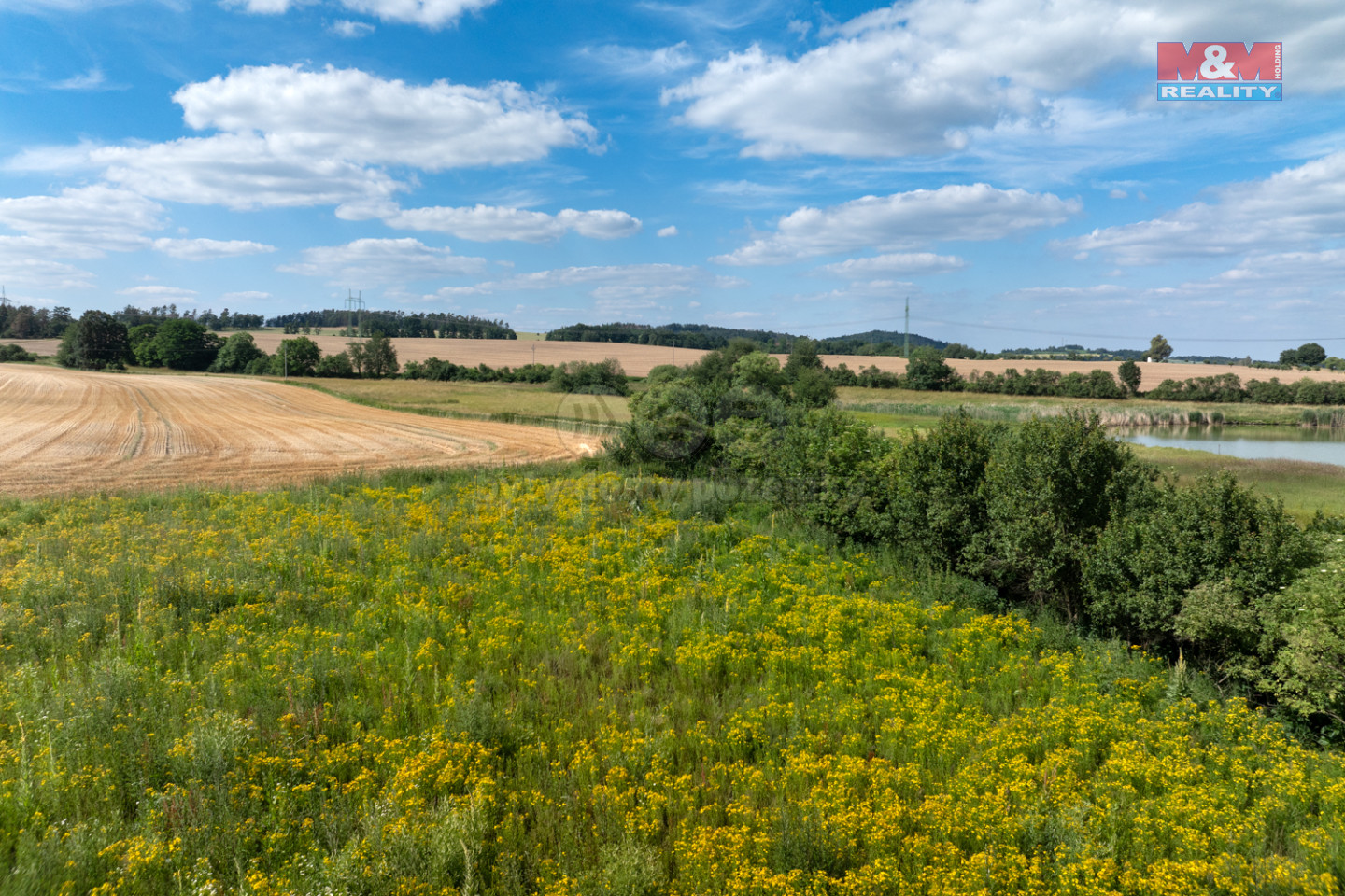 RealitnĂ­ fotografie - Olbramovice - Michal Link - 22.jpg