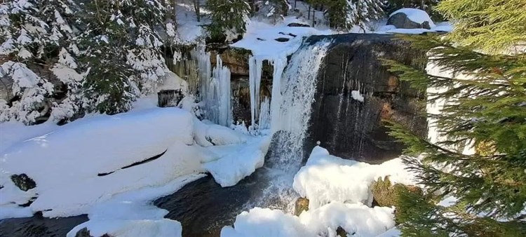 výhled na vodu s pohled na lesy a výhled na vodu