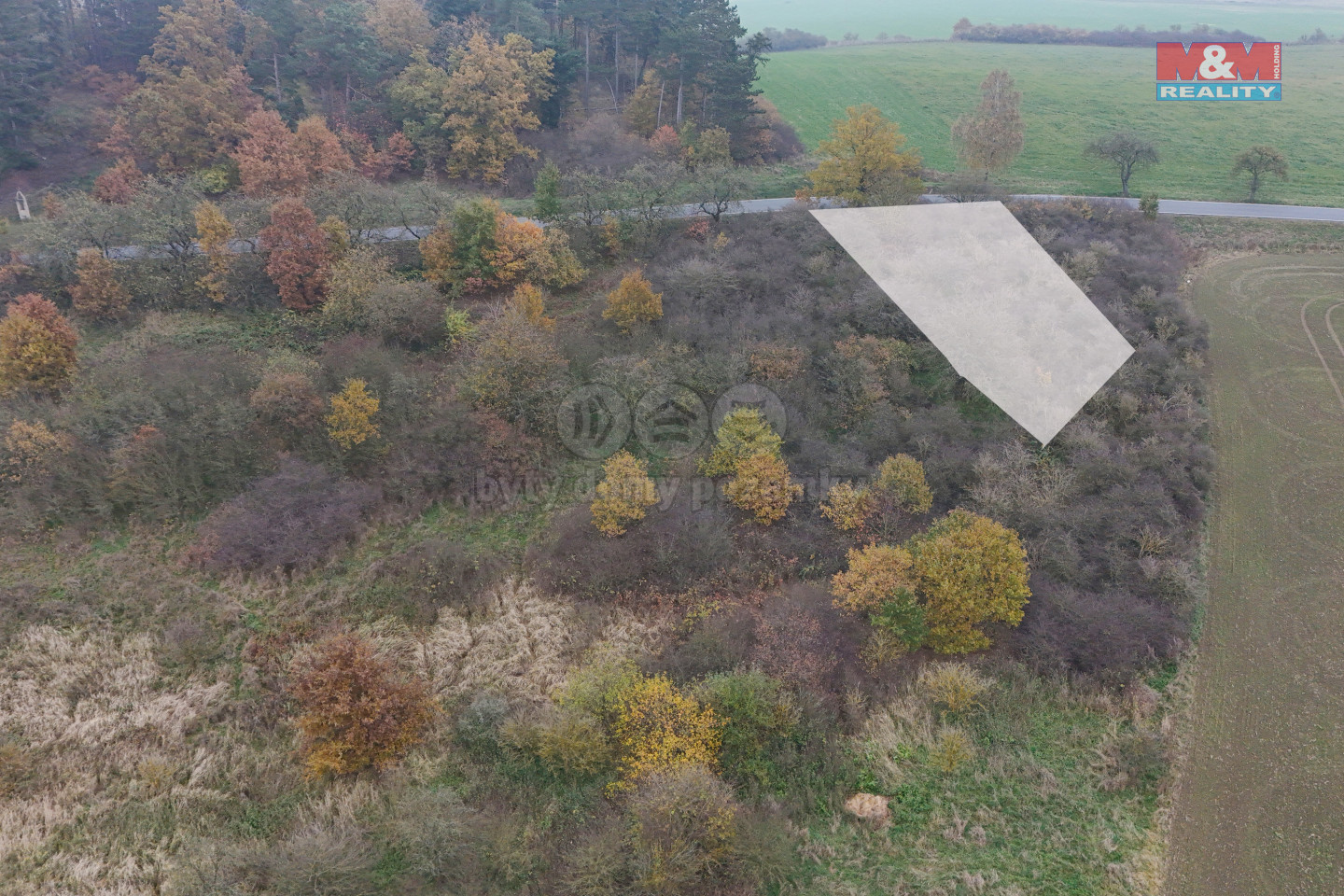 DJI_20241108145350_0832_D kopie.jpg