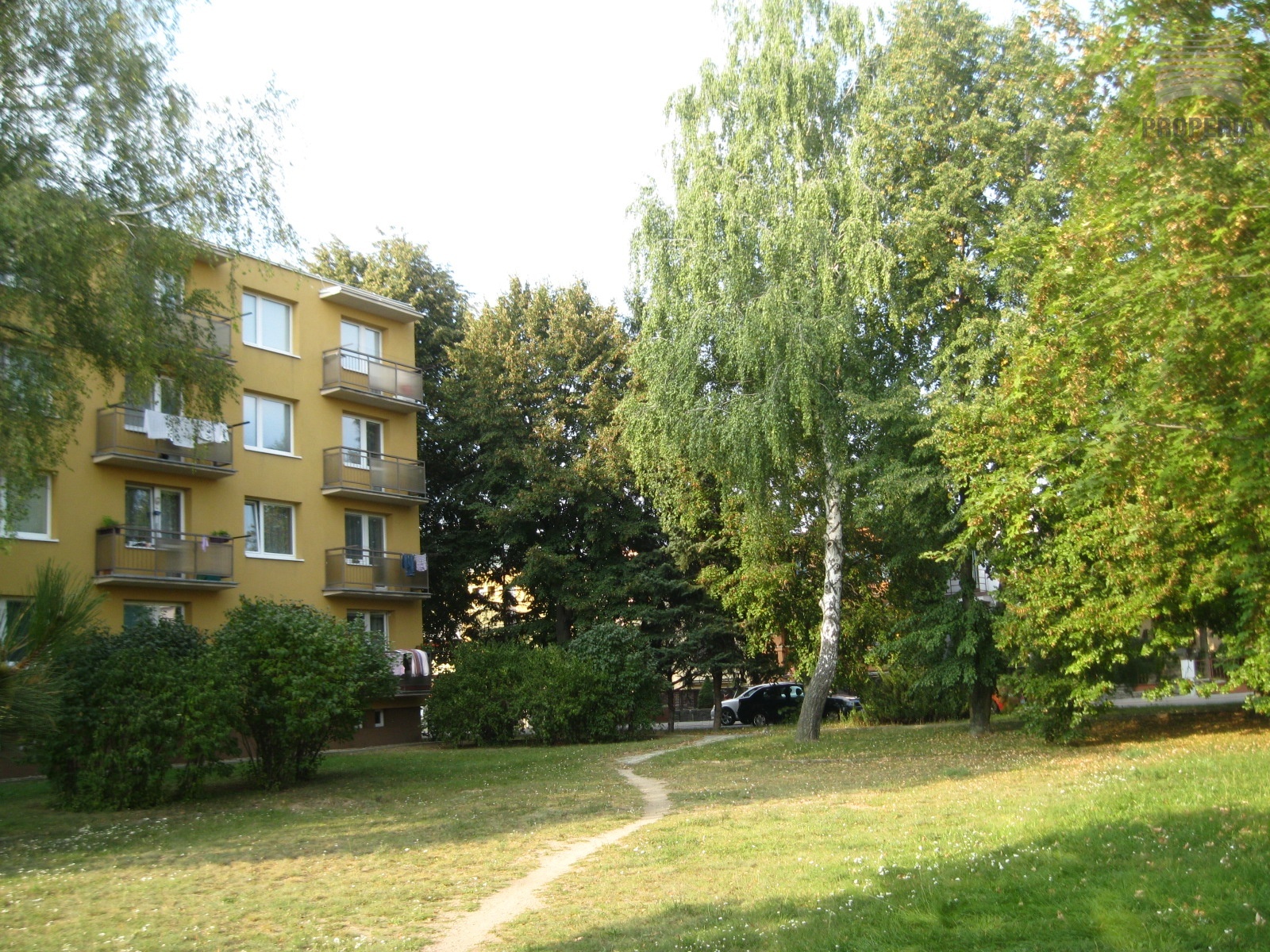 langrova 043