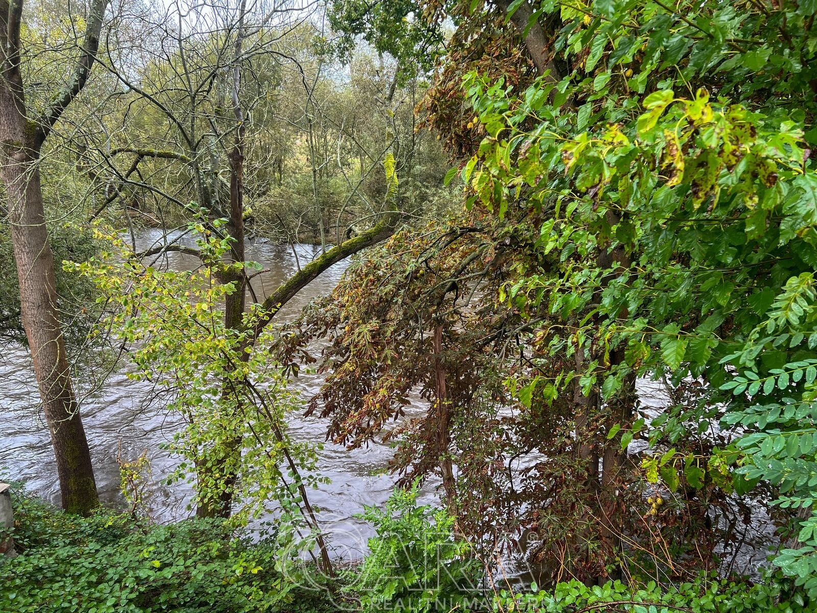 pohled na Vltavu