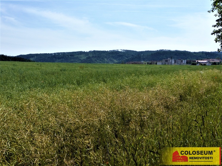 Letovice – prodej zemědělské půdy 7 225 m?