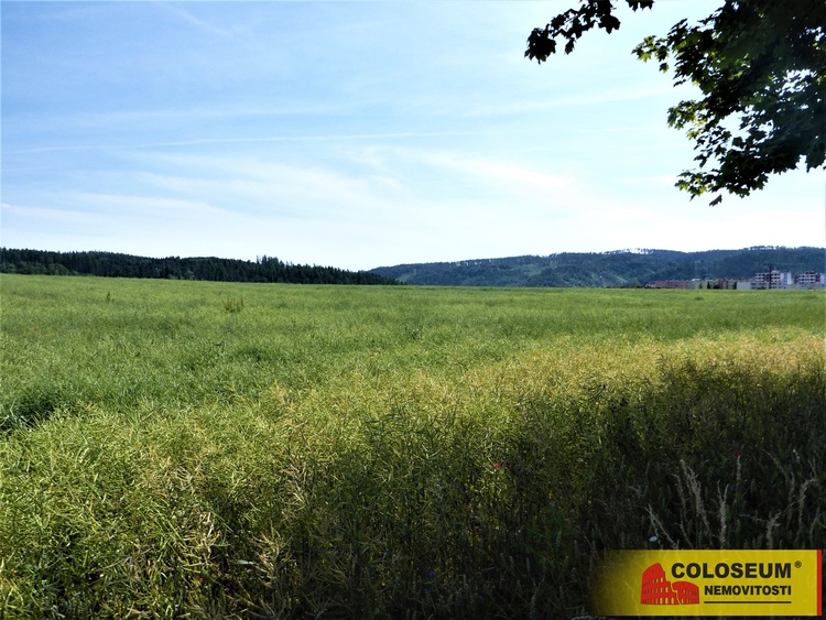 Letovice – prodej zemědělské půdy 7 225 m?