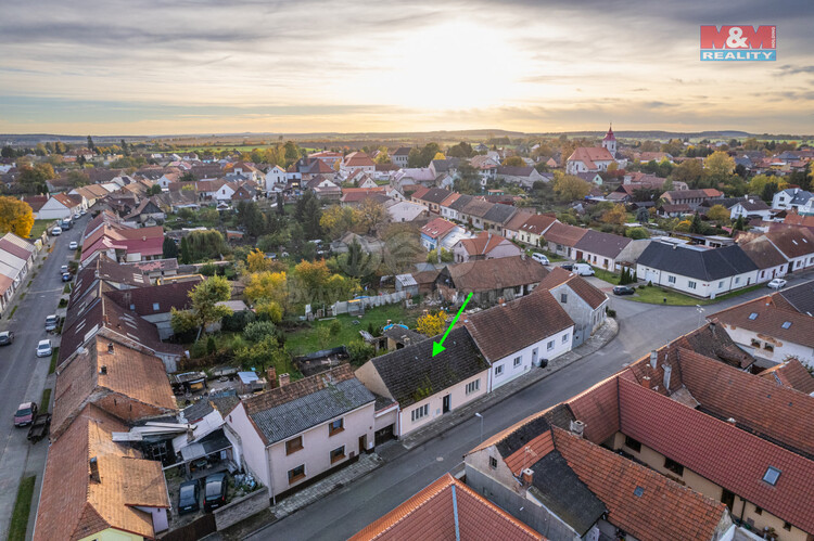 Ĺ˝iĹľelice Ĺˇipka.jpg