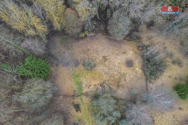 DJI_0993.jpg