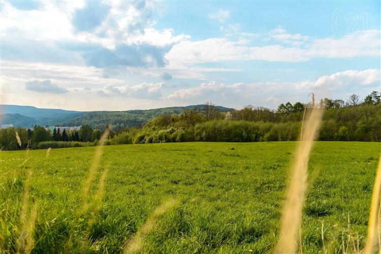 zahrada s venkovský pohled a pohled na lesy