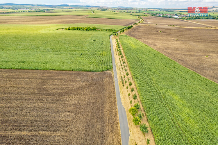 DJI_0954.jpg