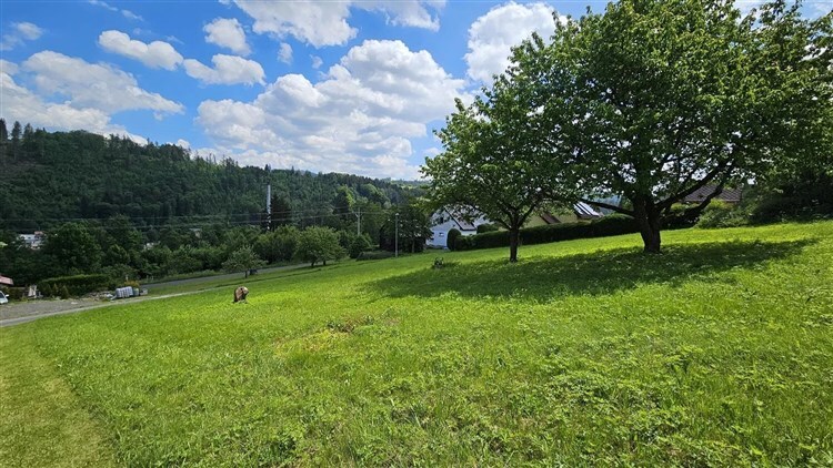 zahrada s pohled na lesy a trávník