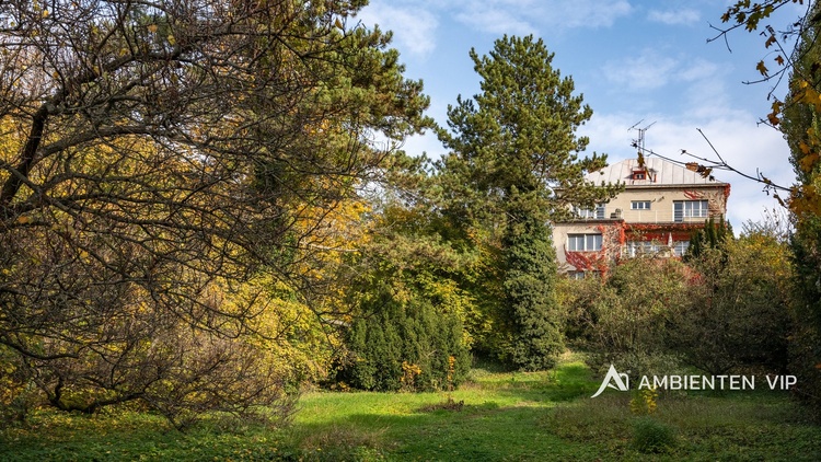 Vila Černá Pole - dům zvenčí zahrada