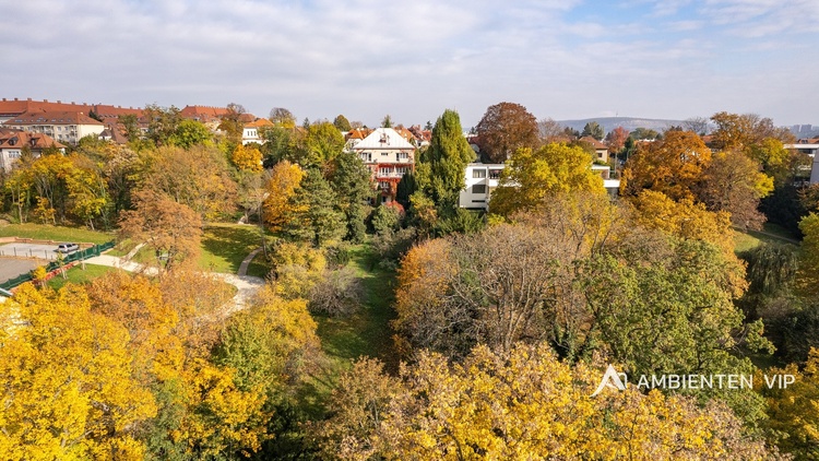 Vila Černá Pole - dům zvenčí 6