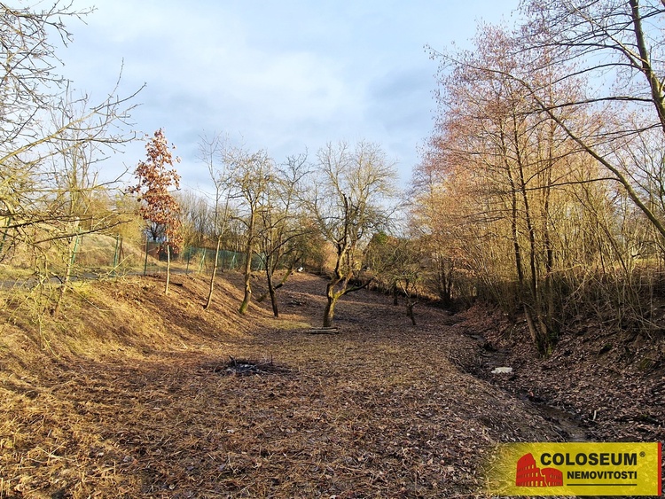 Pohled na pozemek – Ludkovice, prodej pozemku – stavební parcela