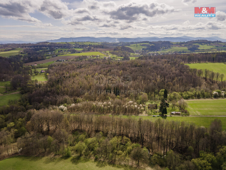 DJI_0934-Enhanced-NR-Edit kopie.jpg