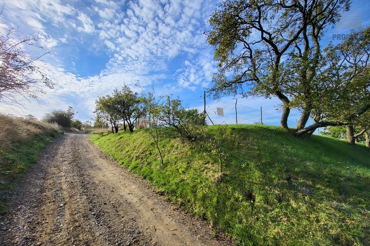 Prodej pozemku - Střelice