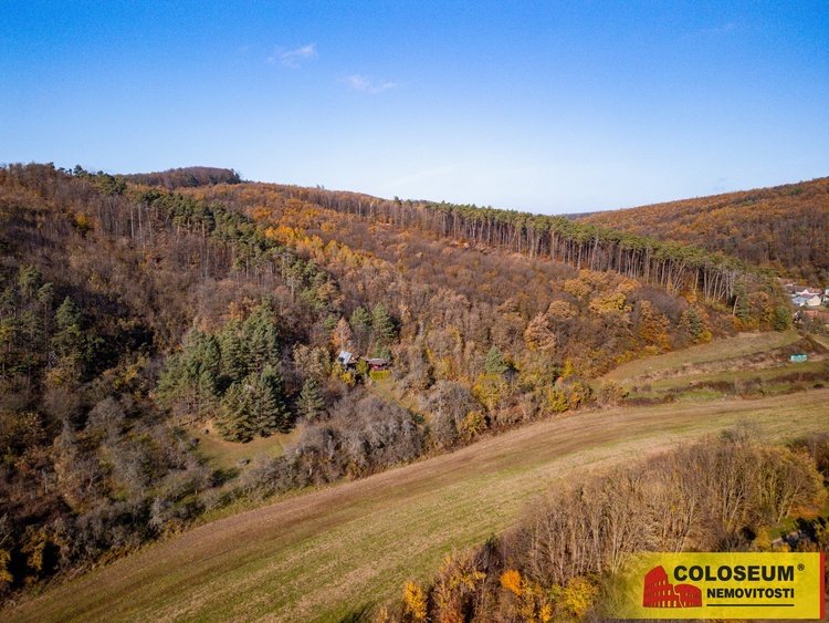 Pohled na okolní krajinu - Žarošice- -prodej chaty