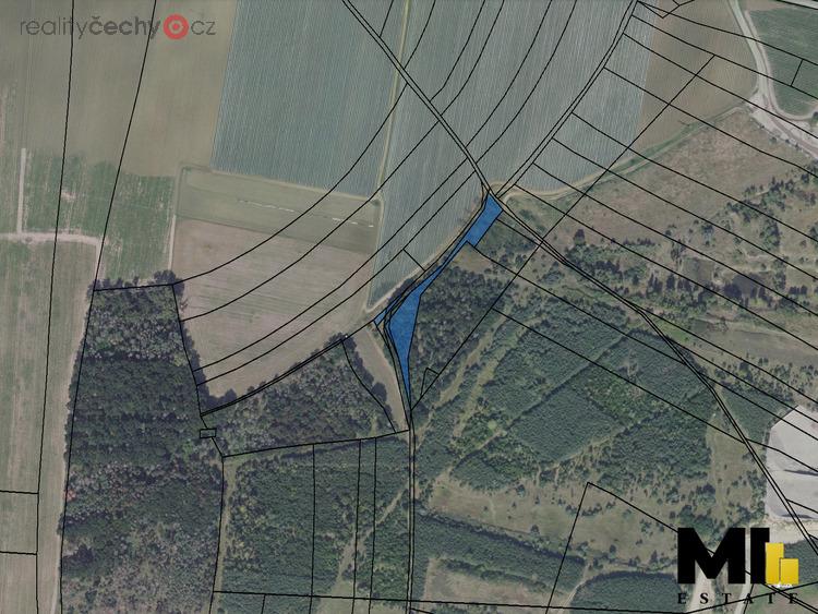 Prodej podílu 1/11 lesa 292 m<sup>2</sup> v obci Hostín u Vojkovic, okres Mělník