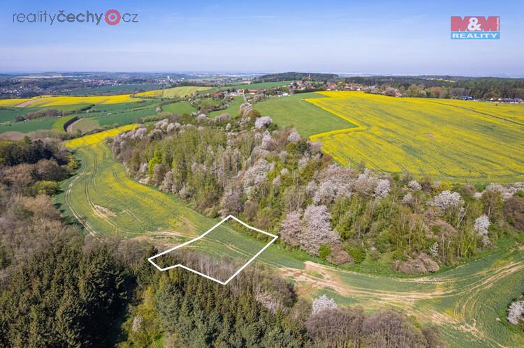 834991 - Prodej louky, 4006 mÂ˛, KlokoÄŤnĂˇ