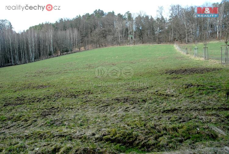 Prodej ovocného sadu v Hrubé Skále