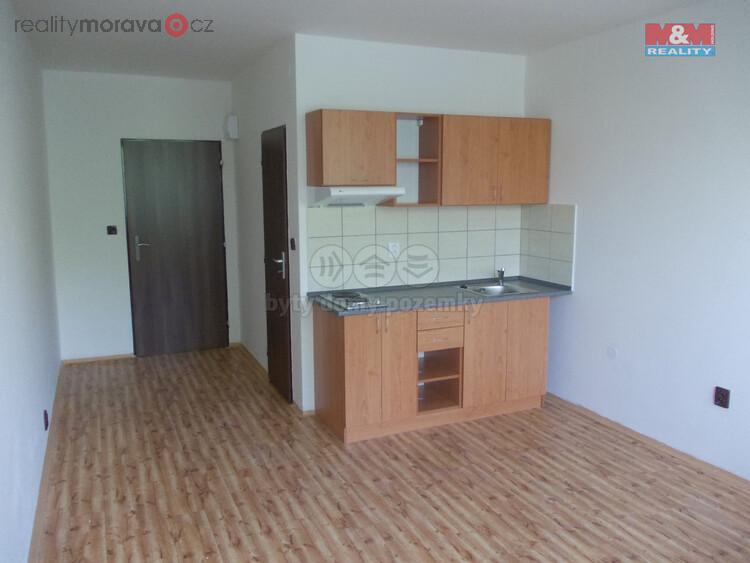 Pronájem bytu 1+kk, 22 m2, Ostrava - Zábřeh