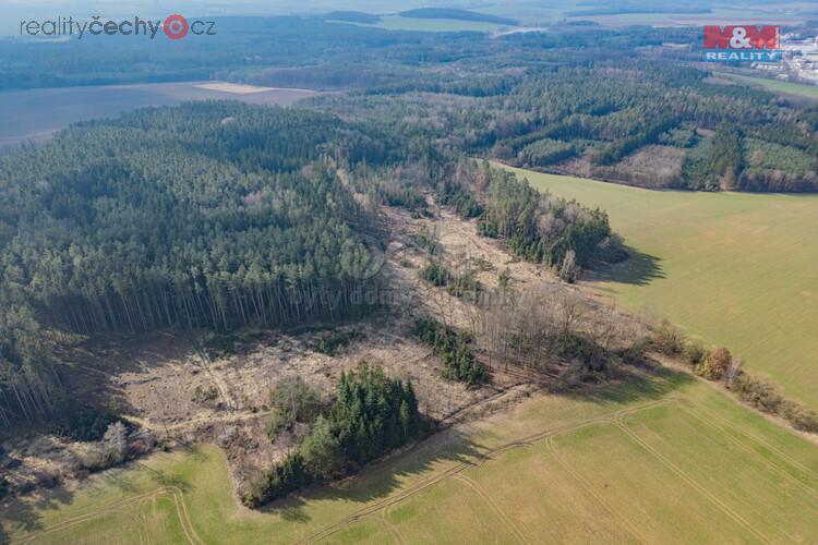 Prodej lesa, 43766 m2, Chlumčany u Přeštic