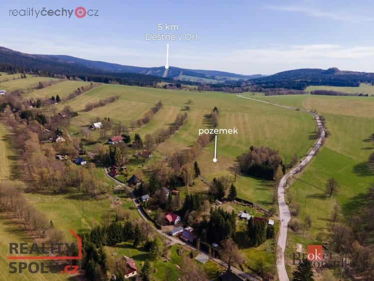 Prodej pozemky - trvalý travní porost, 5 171 m2 - Sedloňov