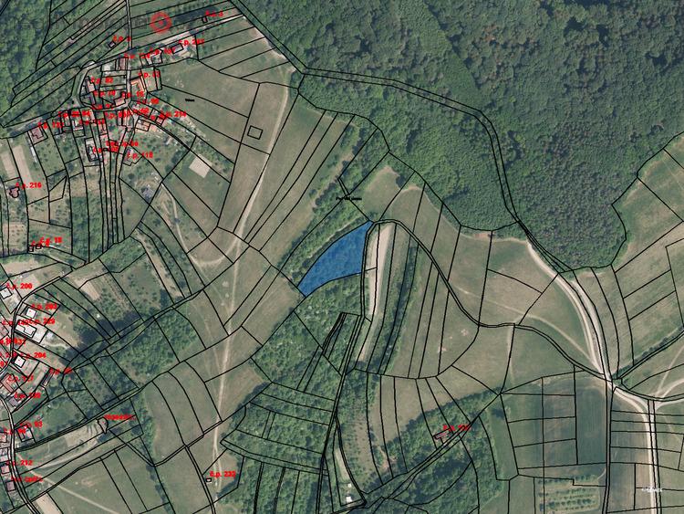 Prodej podílu 1/3 trvalého travního porostu 1335 m2 v obci Košíky, okres Uherské Hradiště