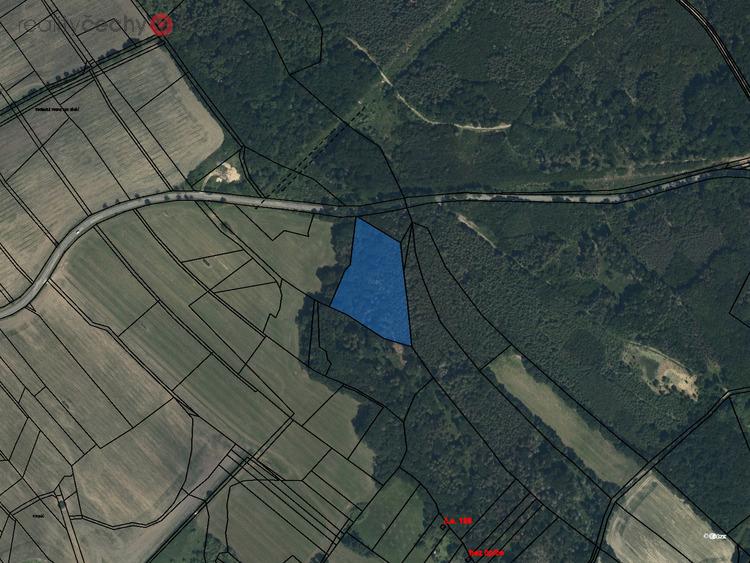 Prodej podílu 1/9 lesního pozemku 1240 m2 v obci Sruby, okres Ústí nad Orlicí