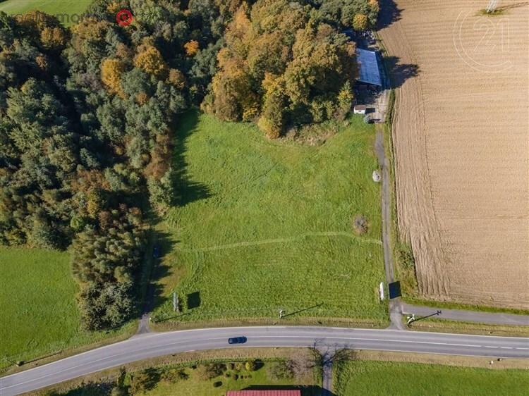 Prodej komerčního pozemku,3099 m2, Sedliště