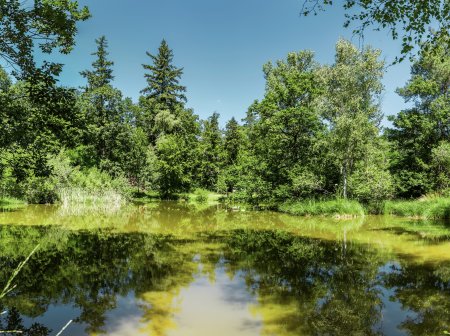 S opravou soukromého rybníku pomůže stát