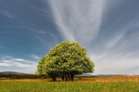 Zemědělská půda jako investice. Vyplatí se?